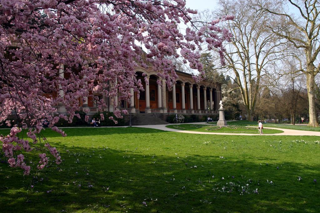 Apparthaus Pfeifer Baden-Baden Exterior photo